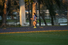 Enlarge photo 1461