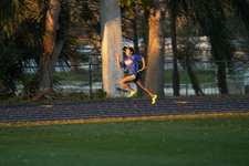 Enlarge photo 1462