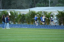Enlarge photo 1466