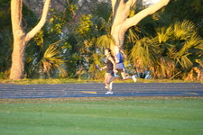 Enlarge photo 1549