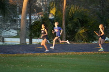Enlarge photo 1551