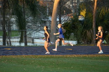 Enlarge photo 1554