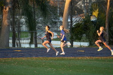 Enlarge photo 1555