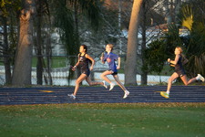 Enlarge photo 1556