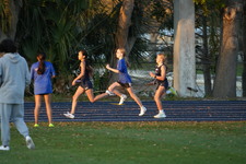 Enlarge photo 1561