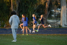 Enlarge photo 1563