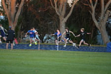 Enlarge photo 1762