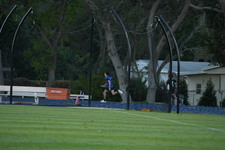 Enlarge photo 1834