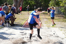 Enlarge photo 229
