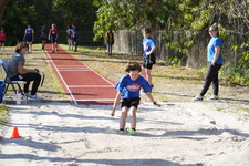 Enlarge photo 381