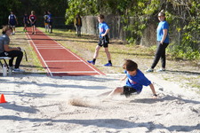 Enlarge photo 384