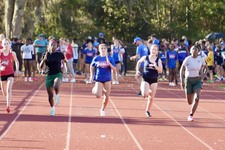 Enlarge photo 419