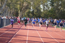 Enlarge photo 420