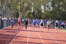 Enlarge photo 421