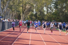 Enlarge photo 423