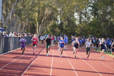 Enlarge photo 424