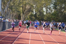 Enlarge photo 425