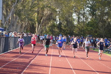 Enlarge photo 426