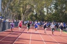 Enlarge photo 427