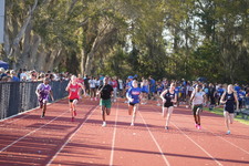 Enlarge photo 429