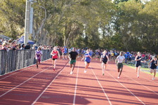 Enlarge photo 431