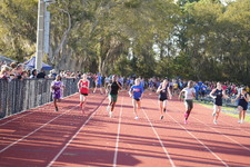 Enlarge photo 432