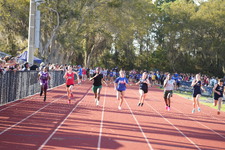 Enlarge photo 435