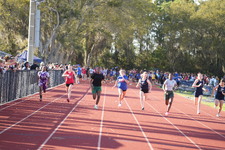 Enlarge photo 436