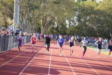 Enlarge photo 438