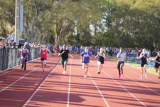 Enlarge photo 440