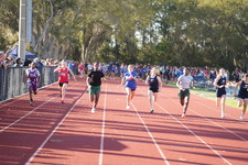 Enlarge photo 441