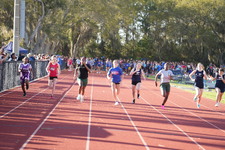 Enlarge photo 442
