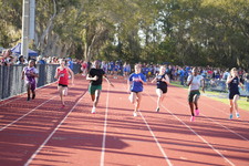 Enlarge photo 445