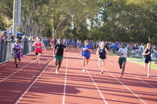 Enlarge photo 446