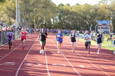Enlarge photo 451