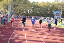 Enlarge photo 453