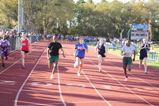 Enlarge photo 455