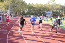 Enlarge photo 459