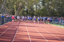 Enlarge photo 462