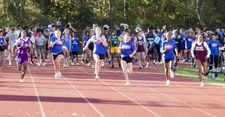 Enlarge photo 463