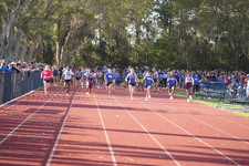 Enlarge photo 464