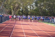 Enlarge photo 465