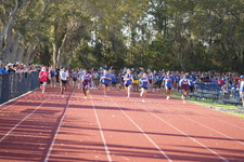 Enlarge photo 466