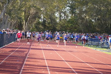 Enlarge photo 468