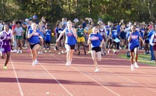 Enlarge photo 467