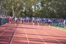 Enlarge photo 469