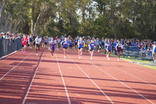 Enlarge photo 470