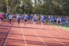 Enlarge photo 472
