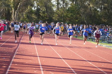Enlarge photo 473