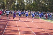 Enlarge photo 474